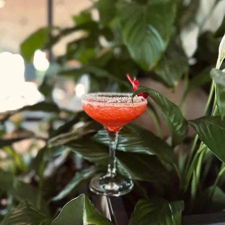 Oda ve Kahvaltı Karma House Goscienczyce Grojec (Masovia)