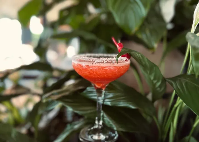 Nocleg ze śniadaniem Karma House Goscienczyce Grojec (Masovia)